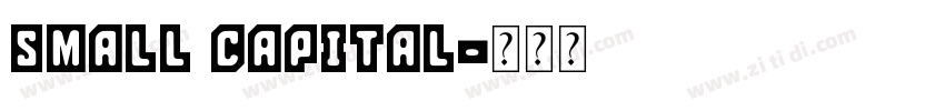 SMALL CAPITAL字体转换